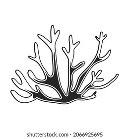 Coral vector black icon. Vector illustration reef of sea on white background. Isolated black illustration icon of coral reef .