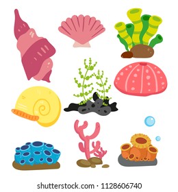 coral vector collection design