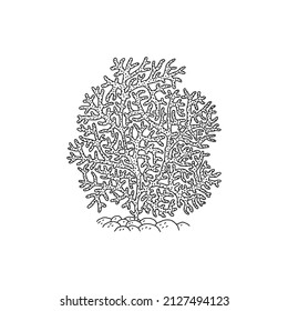 Coral. Vector coralline reef ocean animal underwater life doodle black white line isolated illustration.