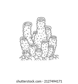 Coral. Vector coralline reef ocean animal underwater life doodle black white line isolated illustration.