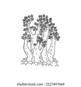 Coral. Vector coralline reef ocean animal underwater life doodle black white line isolated illustration.