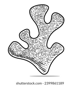 icono de color blanco y negro dibujado a mano