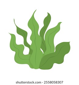 Coral Vector Illustration - 01