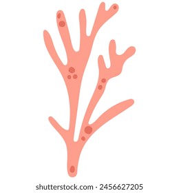 Coral vector illustration doodle drawing, isolated marine coral plant in shades of pink and red color.