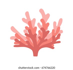 Coral vector illustration doodle drawing, isolated marine coral plant in shades of orange, pink and red color.