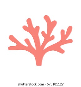 Coral vector illustration doodle drawing, isolated marine coral plant in coral color.