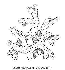Coral Vector line art. Outline of sea Reef. Hand drawn graphic clipart of underwater plant. Linear drawing on isolated background. Black contour sketch draw. For summer prints