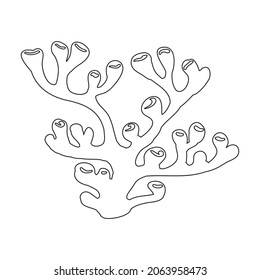 Coral vector outline icon. Vector illustration reef of sea on white background. Isolated outline illustration icon of coral reef .
