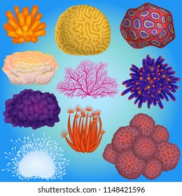 Coral vector sea coralline or exotic cooralreef undersea illustration coralloidal set of natural marine fauna in ocean reef isolated on aquatic background