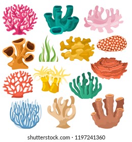 Coral vector sea coralline or exotic coral reef undersea illustration coral loidal set of natural marine fauna in ocean reef and aquatic plant for aquarium isolated on white background