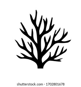 Coral vector sketch, version 10