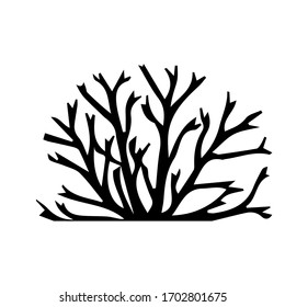 Coral vector sketch, version 11