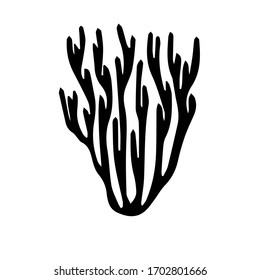 Coral vector sketch, version 14