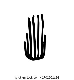 Coral vector sketch, version 3