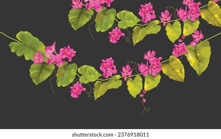 coral vine air mata pengantin tree vector in green leaves and dark background.