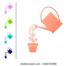 Coral Watering can sprays water drops above flower in pot icon isolated on white background. Irrigation symbol. Set color icons. Vector Illustration