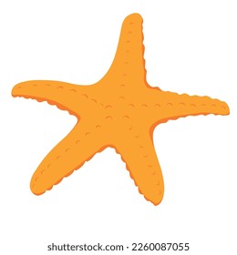 Coral-colored starfish. Vector stock illustration.  Natural marine and aquarium elements, water decor objects. For design sea and beach theme. Isolated on a white background.