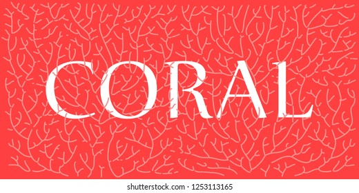 Corals. Abstract background