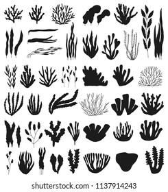 corals and algae large vector silhouette set. isolated on white background.