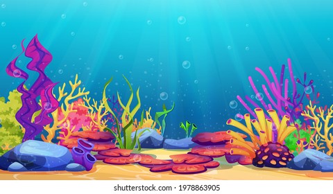 Corals and algae underwater world, sea bottom cartoon background. Vector seaweeds and stones undersea plants, aquarium with seafloor, marine wildlife scenery, bubbles and light, game design, diving