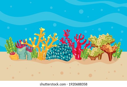 corals and algaes in sea water nature scene vector illustration design