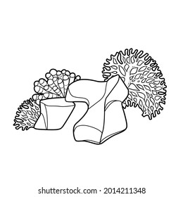 Corals and anemones grow on a figured stone coloring book linear drawing isolated on white background