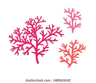 Corals branches icons collection. Vector design elements.