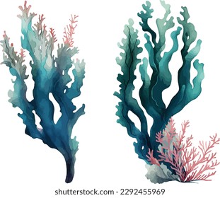 Corals clipart, isolated vector illustration.