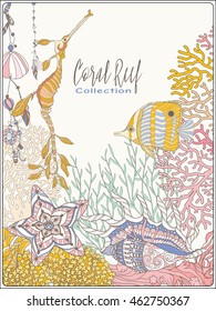 Corals, fish and sea shells on bottom composition with space for text. Vector illustration. 