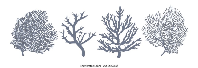 46,113 Coral silhouette Images, Stock Photos & Vectors | Shutterstock