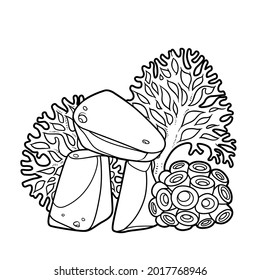 Corals grow on decorative sandstone object coloring book linear drawing isolated on white background