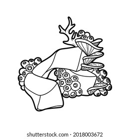 Corals grow on rocks coloring book linear drawing isolated on white background