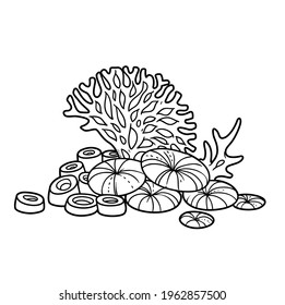 Corals grow on sea sponges coloring book linear drawing isolated on white background