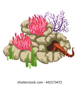 Corals grow from a stone on the seabed isolated on white background. Octopus tentacle came out of the stone grotto. Vector illustration.