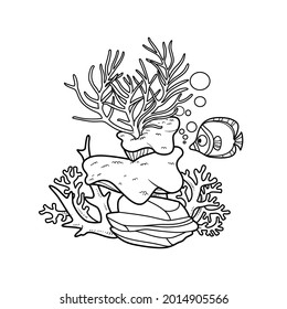 Corals and large sponges on stone coloring book linear drawing isolated on white background