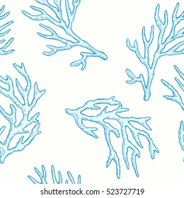 Corals  Marine vector saemless pattern  Hand drawn illustration sea life