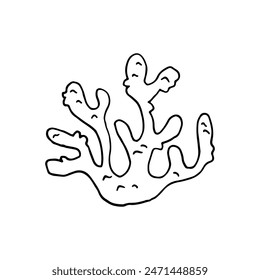 Corals, organic material. Skeleton of tiny sea animals. Doodle. Vector illustration. Hand drawn. Outline.