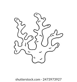 Corals, organic material. Skeleton of tiny sea animals. Doodle. Vector illustration. Hand drawn. Outline.