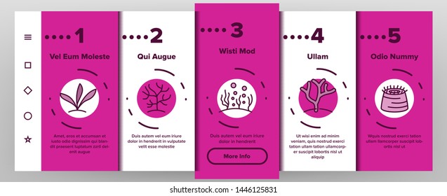 Corals Reefs And Seaweed Vector Onboarding Mobile App Page Screen. Ocean Corals, Underwater Sea Life Outline Symbols Pack. Marine Flora And Fauna. Aquarium Natural Decoration Illustrations