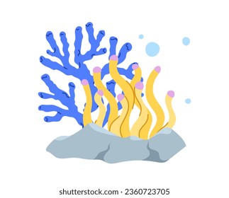 Corals with rocks concept. Colorful plants with bubles. Underwater and sea life. Blue and yellow flora. Template, layout and mock up. Cartoon flat vector illustration isolated on white background