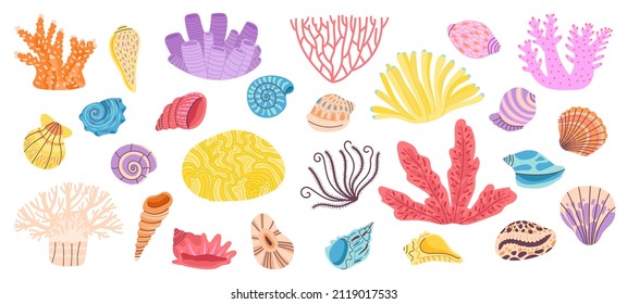 Corals. Sea coral, weeds and seashell. Ocean reef doodle elements. Shells decoration, underwater or aquarium objects. Marine decent vector objects