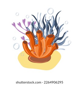 Corals and seaweed. Botanical Illustration. Underwater flora, sea plants. Concept of sea and ocean life. Vector illustration