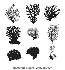 corals and seaweed silhouette clip art Vector