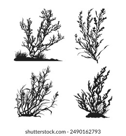 corals and seaweed silhouette clip art Vector