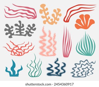 Corals and seaweed. Vector Hand Drawn. Sketch Botanical Illustration. Underwater flora, sea plants. Line art clipart. Vintage pink and blue marine plants