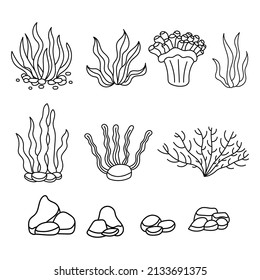 corales y algas dibujadas a mano, doodle, conjunto vectorial de estilo boceto