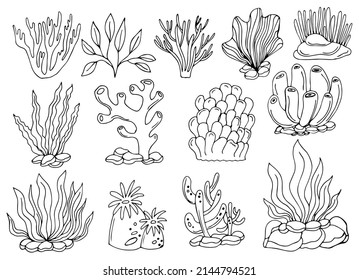 corals and seaweeds in hand drawn, doodle, sketch style vector set