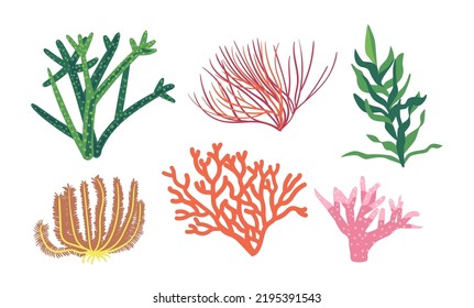 Corals and Seaweeds, Underwater Kelp Or Laminaria Plants. Isolated Marine Or Aquarium Grass Vegetation. Ocean And Undersea Algae Sea Weed, Water Life, Exotic Aquatic Flora. Cartoon Vector Illustration