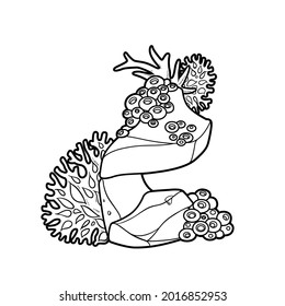 Corals and sponges grow on stone coloring book linear drawing isolated on white background