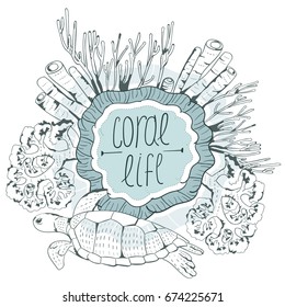 Corals and a turtle. Print. Sea life. Inhabitants of the depths.